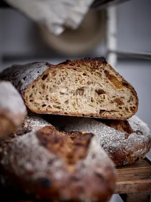 소프트그레인 5CL