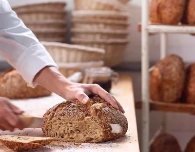 사포레 살로메 - 사워도우