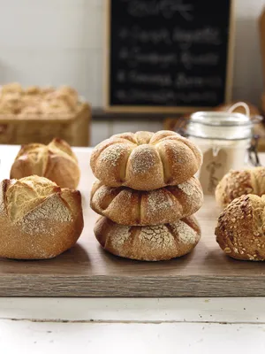 사포레 리골레또 - 사워도우