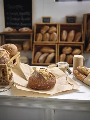 사포레 트라비아타 - 사워도우